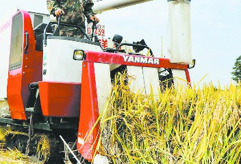 成都&ldquo;袁隆平雜交水稻科學(xué)園&rdquo;豐收啦！