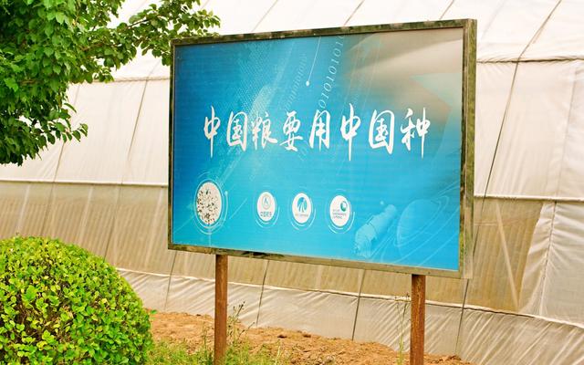 什么是種子處理？你有了解嗎？